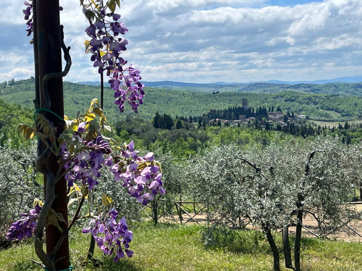Il Fiorino Di Badia Apartment Badia A Passigano ภายนอก รูปภาพ