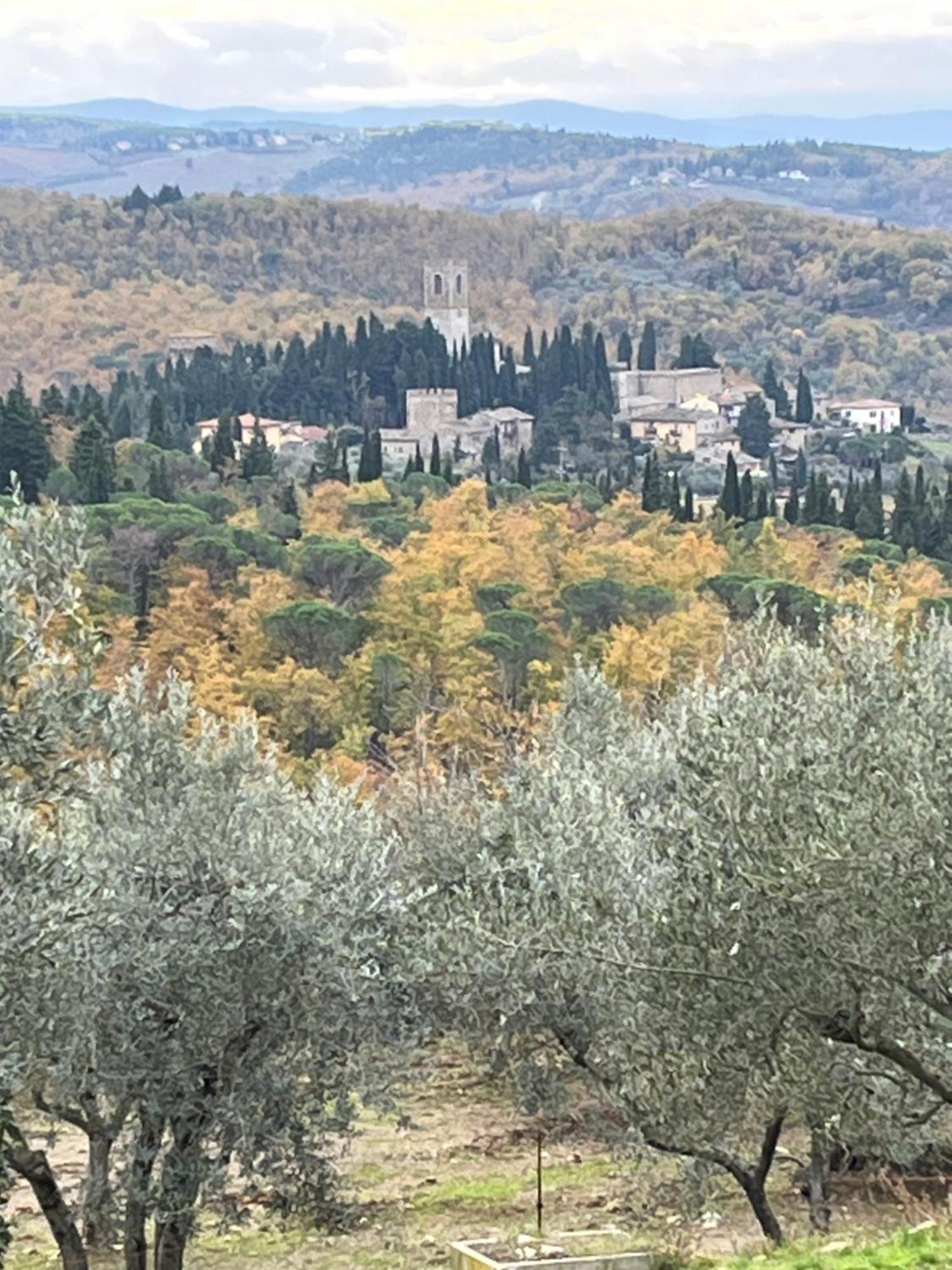 Il Fiorino Di Badia Apartment Badia A Passigano ภายนอก รูปภาพ
